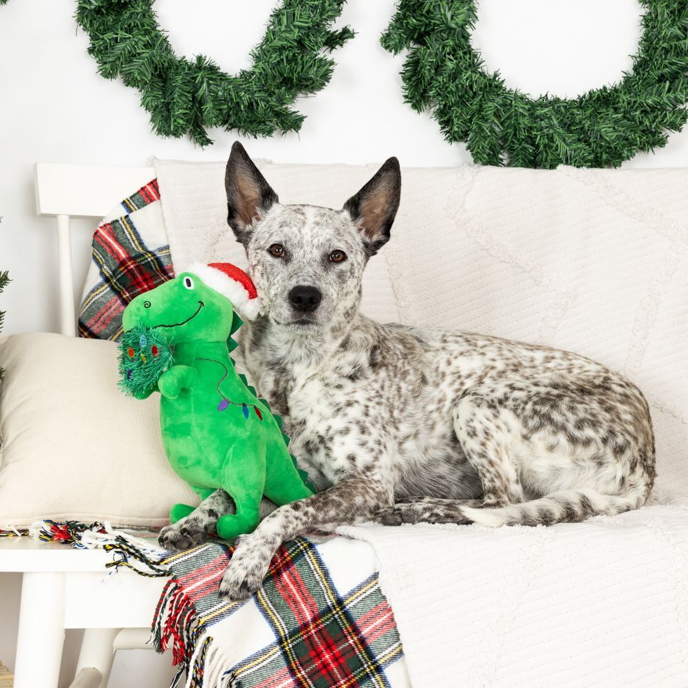 Fringe Studio - Dino Toy - Hungry For The Holidays