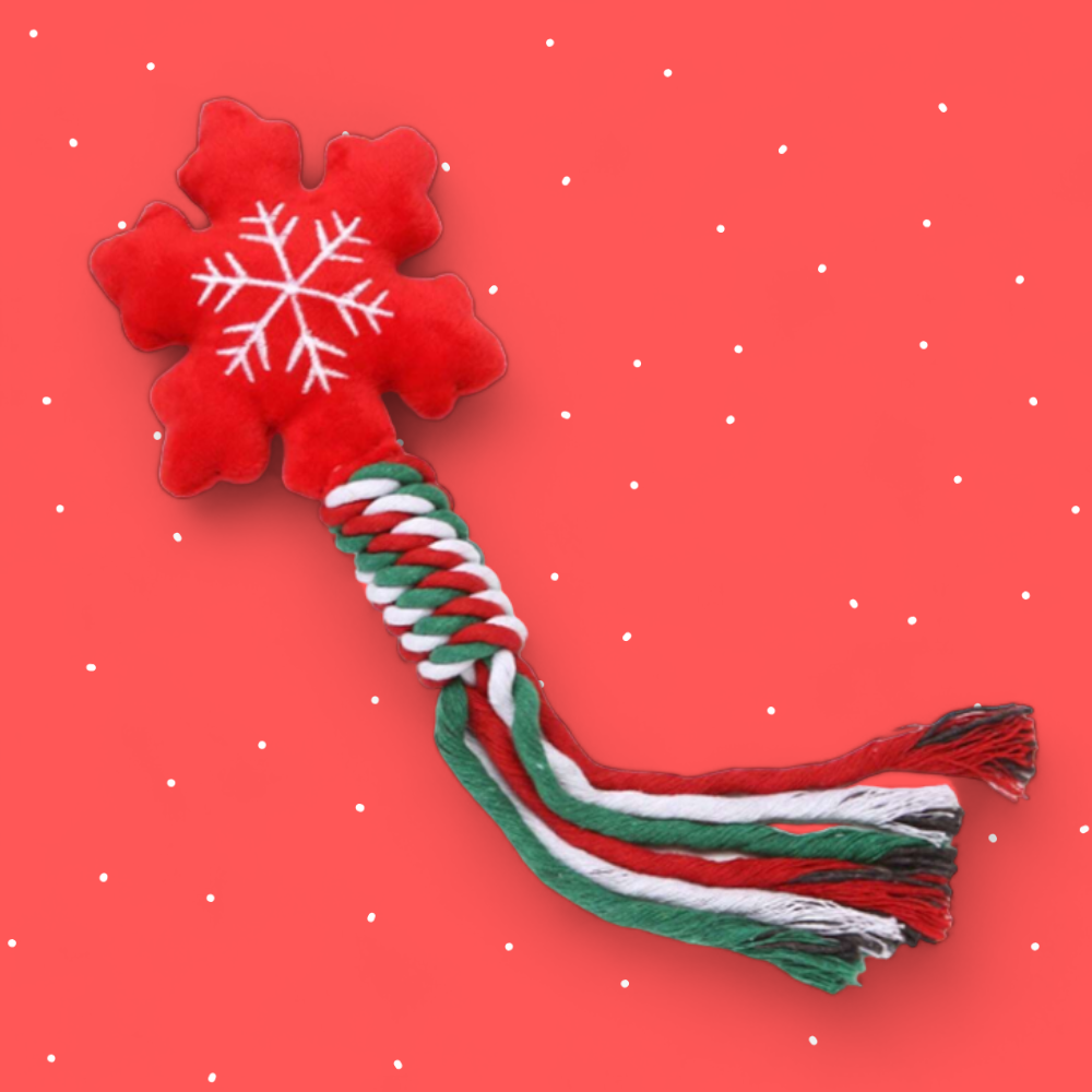 Red Snowflake Knotted Rope Toy