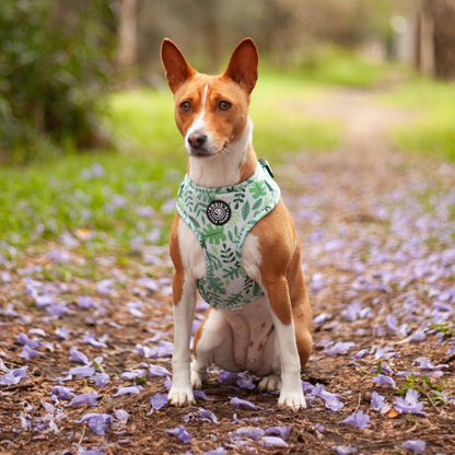 You're Unbeleafable - Adjustable Chest Harness