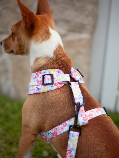 Ready, Set, Bloom - Adjustable Chest Harness