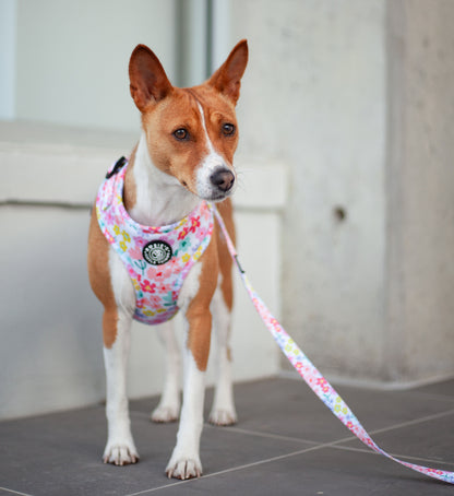 Ready, Set, Bloom - Adjustable Chest Harness