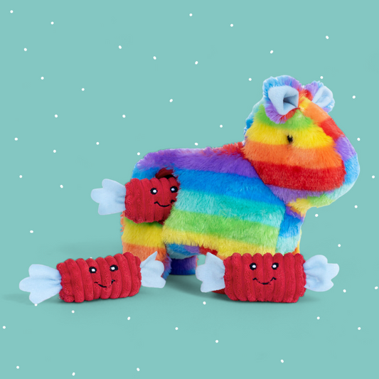 Zippy Paws - Burrow Dog Toy - Rainbow Pinata with Candy